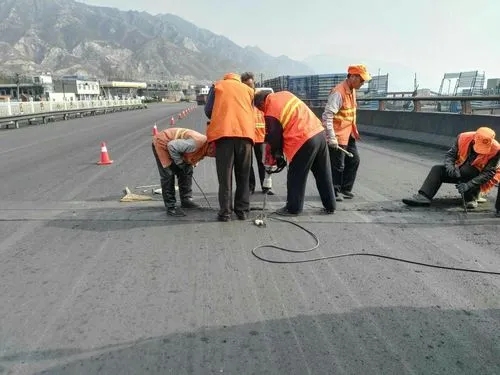 汶上道路桥梁病害治理